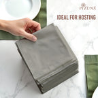 Pizuna 400 Thread Count 100% Natural Cotton Napkin